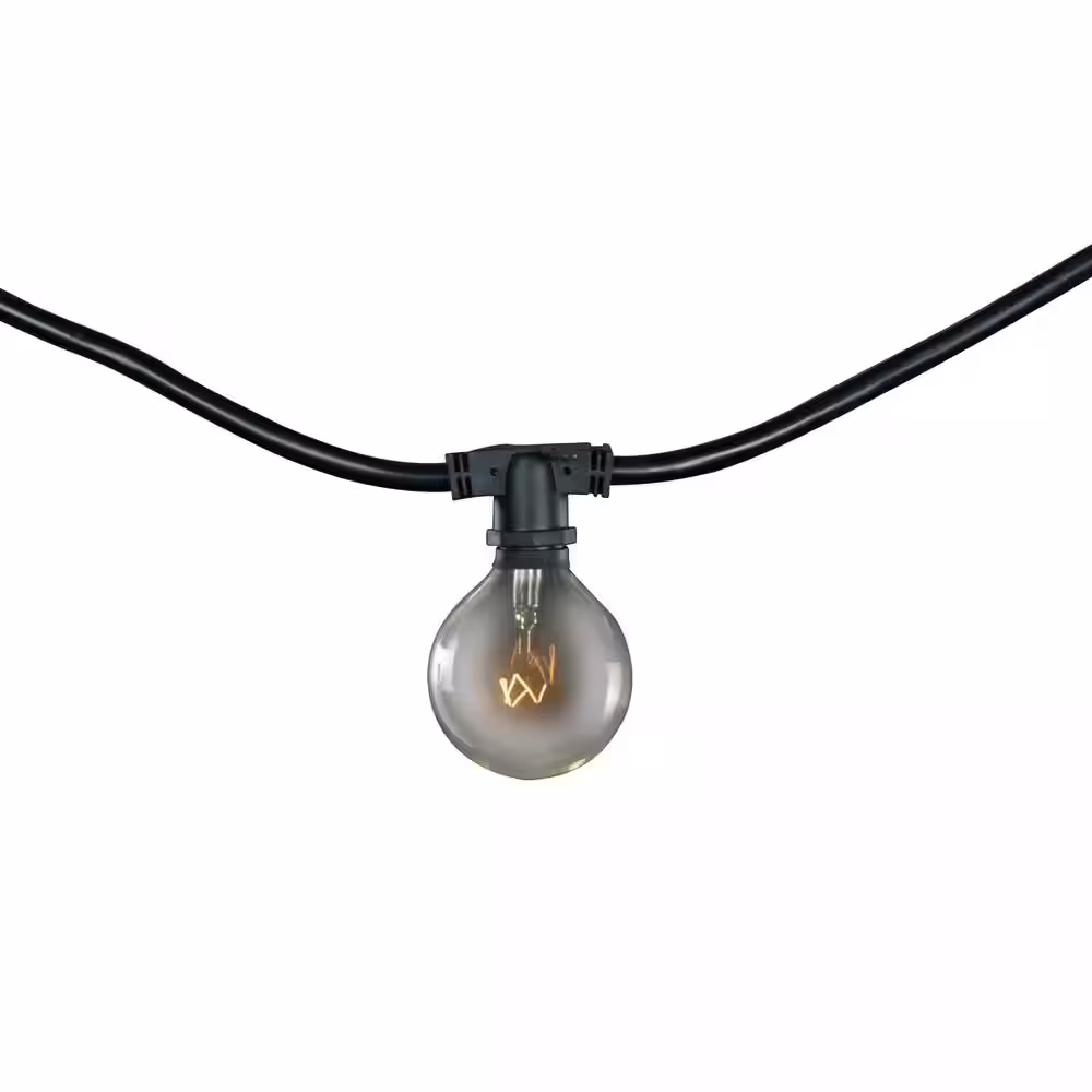 Bulbrite 10 Light 14 ft. Black Indoor/Outdoor Plug-in G16 String LightÂ with Clear Incandescent Bulbs (2 Pack)